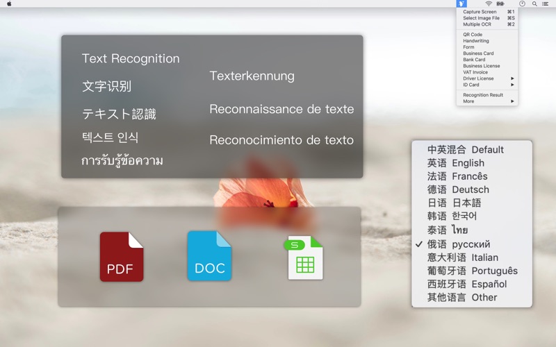 Text_Scanner_PDF_Document.app caprure 2 2_Text_Scanner_PDF_Document.jpg