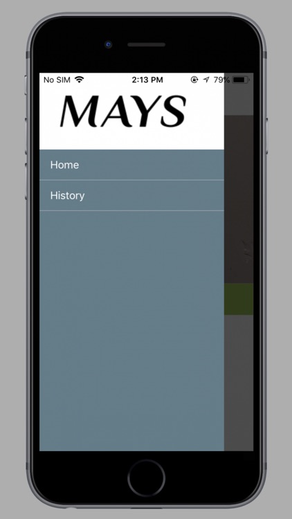 Mays Translation App