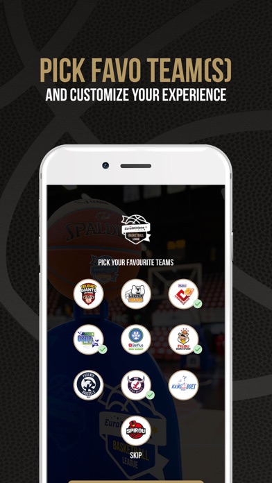 Pro Basketball League screenshot 4