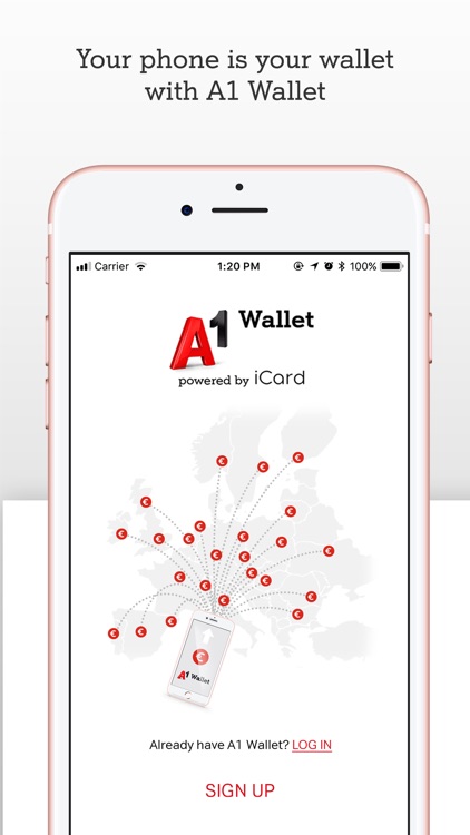 A1 Wallet by iCard