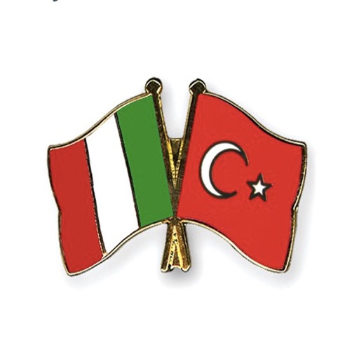Italian Turkish Verb Test