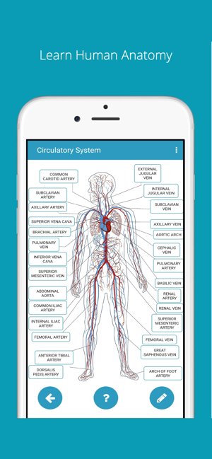 Learn Human Anatomy(圖2)-速報App