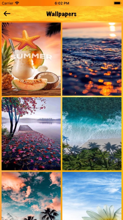 Enjoy Summer Days App