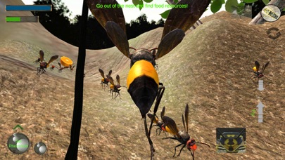 Wasp Nest Simulation Full screenshot 2