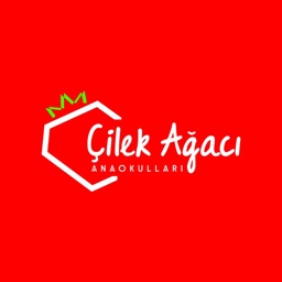 Çilek Ağacı Anaokulları