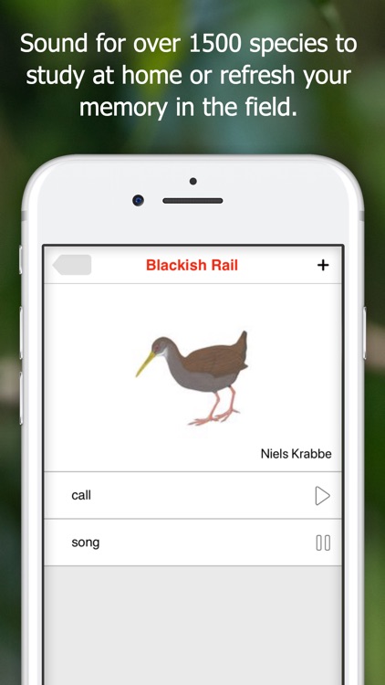 Birds of Ecuador - Field Guide screenshot-5