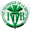 ITB Ravageurs de la betterave