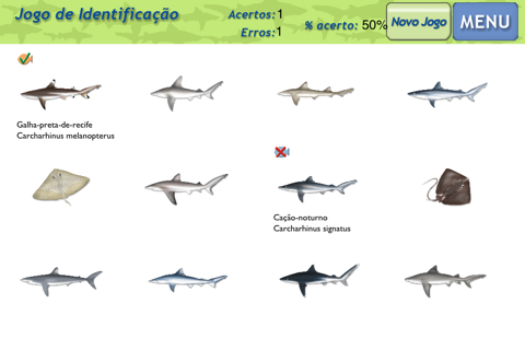 Sharks & Rays - ID Guide screenshot 3