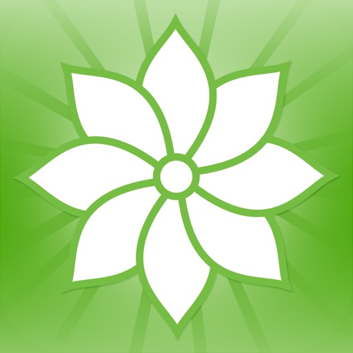 Mindfulness: Being Human