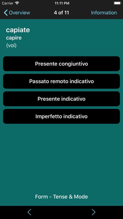 Italian Verbs & Conjugation L screenshot-6