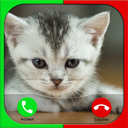 Cat Fake Call Prank For Kids iOS App