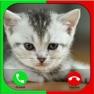 Get Cat Fake Call Prank For Kids for iOS, iPhone, iPad Aso Report