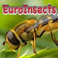 Insekten Europas apk