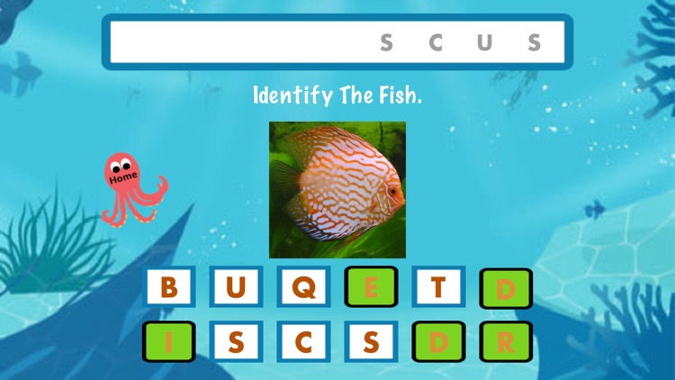 Identify The Fish screenshot-5