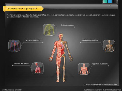 APPunti di anatomia screenshot 2