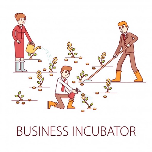 BusinessIncubatorMNN
