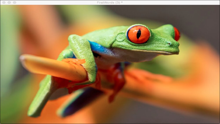 Where's The Frog? screenshot-4