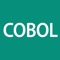 Icon Cobol Programming Language