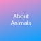 This app contains interesting information about animals