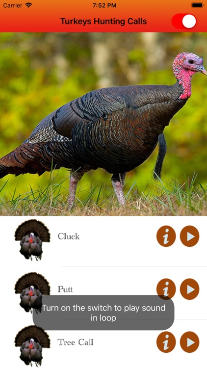 Turkey Hunting Calls -