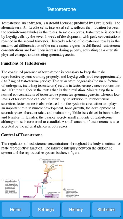 Male Reproduction System screenshot-3