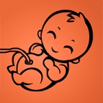 Pregnant - Day by Day