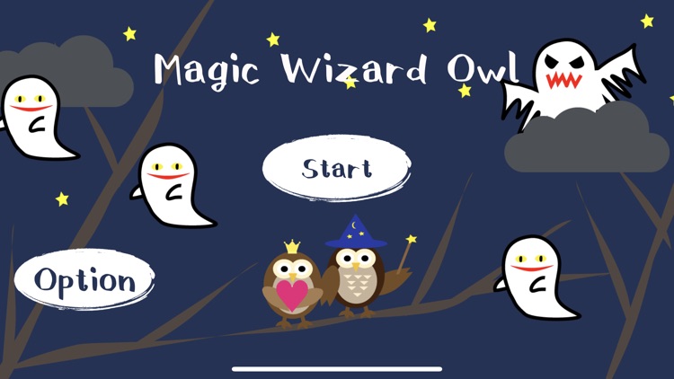 Magic Wizard Owl