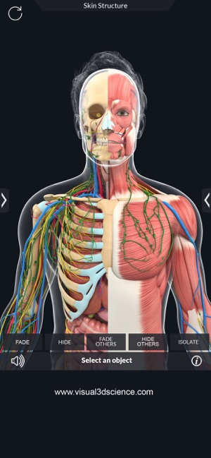 AR Human Anatomy(圖5)-速報App