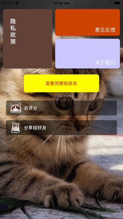 凶八啊欧猫