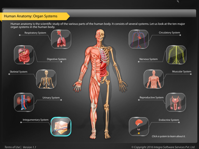 Human Anatomy - Integumentary(圖1)-速報App