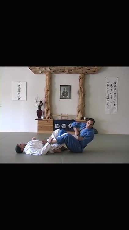 BJJ Blue Requirements 1.0