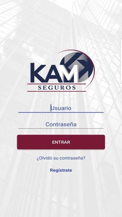 Kam Seguros