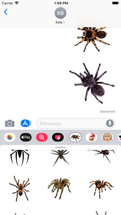 Spider Set Stickers screenshot-3