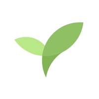 Contacter Plantie - Reste concentrée