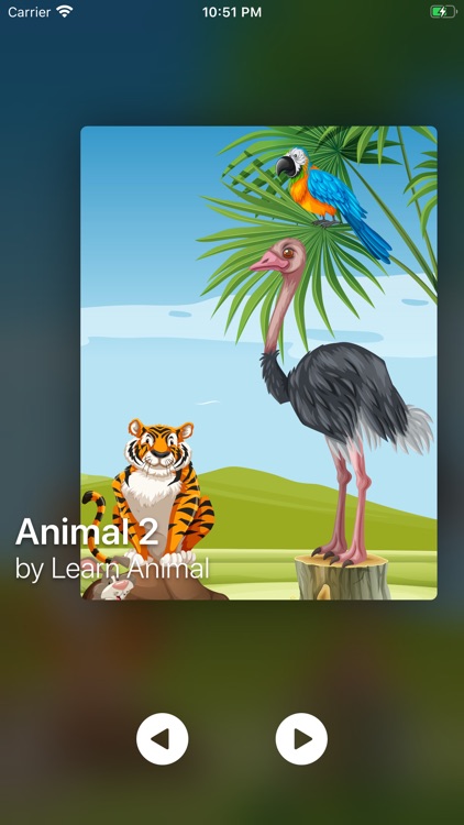 Game Animal Match - PreSchool