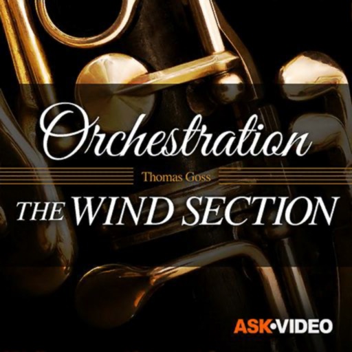 ask video orchestration