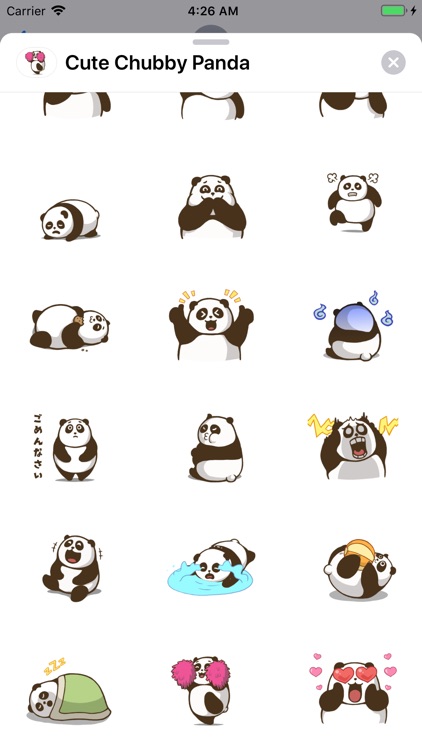 Cute Chubby Panda - Animated