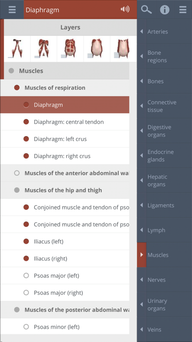 How to cancel & delete Abdomen: 3D Real-time from iphone & ipad 3