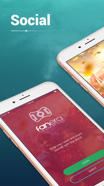 Fanera