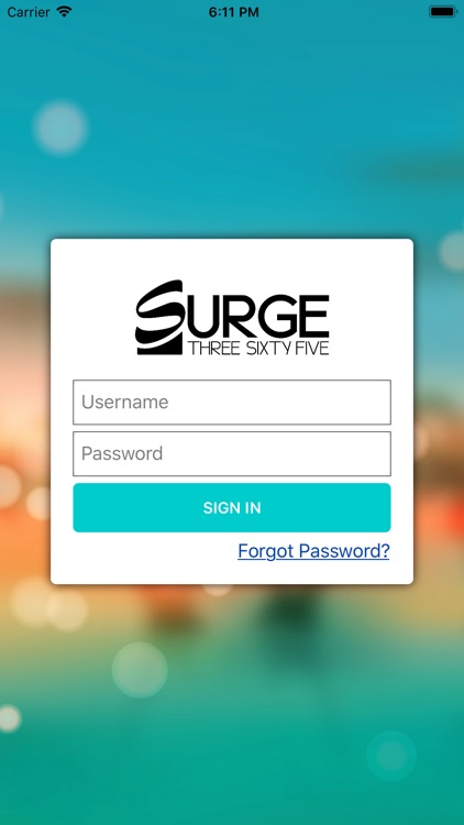 Surge365 Travel