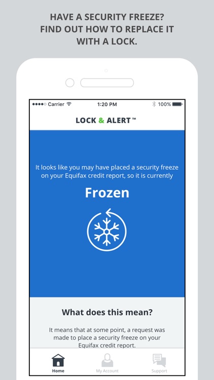 Lock & Alert screenshot-3