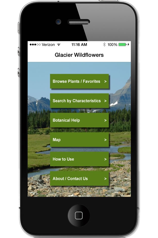 Glacier Wildflowers screenshot 2