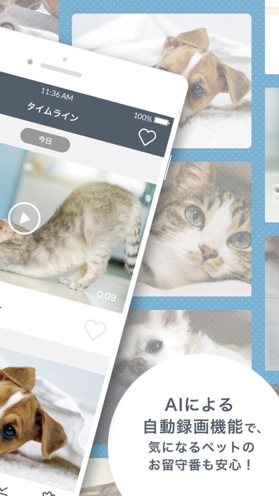 ペットみるん - ペット見守りカメラ アプリのおすすめ画像2