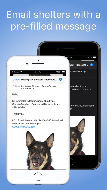 PetView360: Find & Adopt a Pet screenshot-3