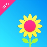  Skywall Pro - HD+ Wallpapers Application Similaire