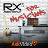 Audio Repair Course For RX 5