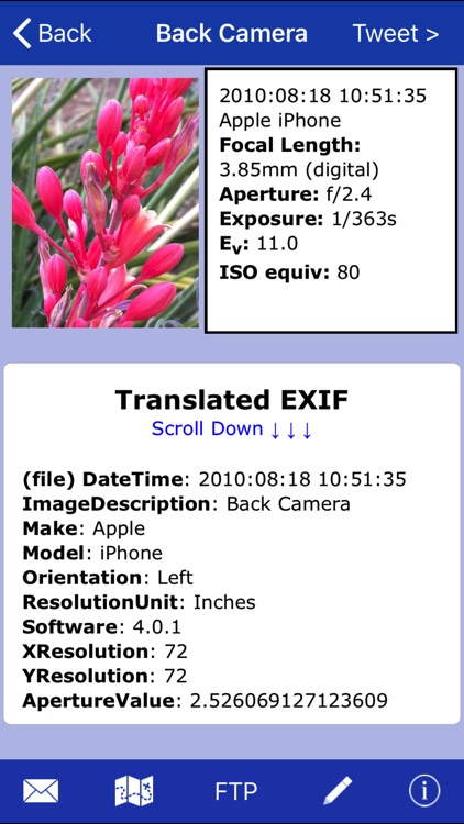 Exif Wizard-Pro