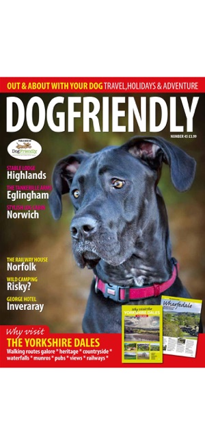 Dog Friendly Magazine(圖9)-速報App