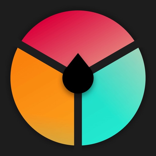 Daily Decision Wheel