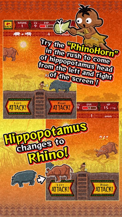 Hippopotamus & Rhino